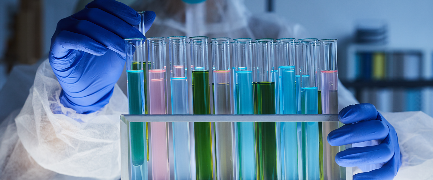 CS 013_Bayer