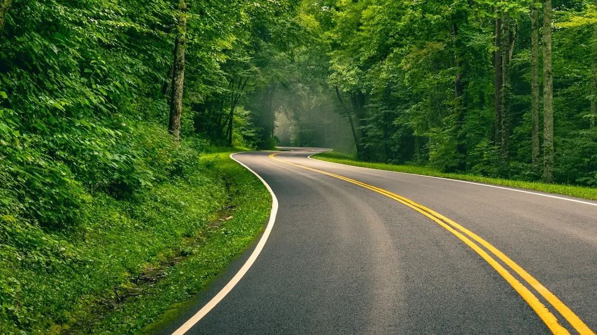 view of a winding road