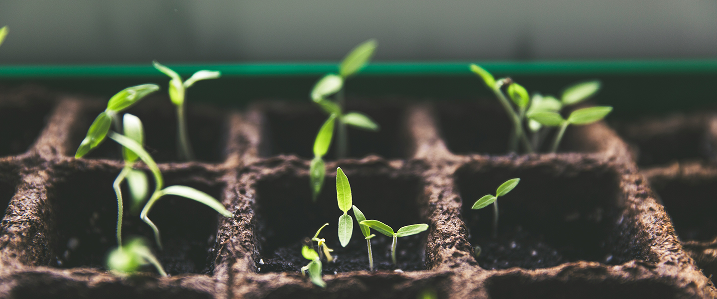 WP Soil Carbon Hero Image